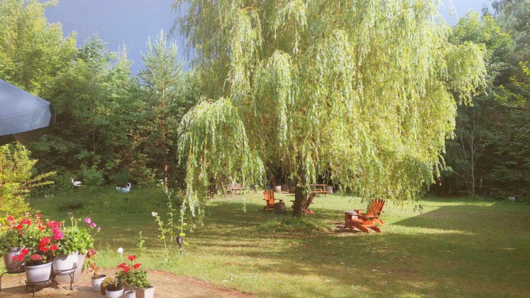Debowa Dziupla Guest house